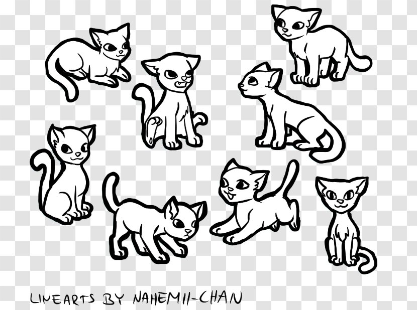 Whiskers Cat Line Art Felidae - Artwork Transparent PNG