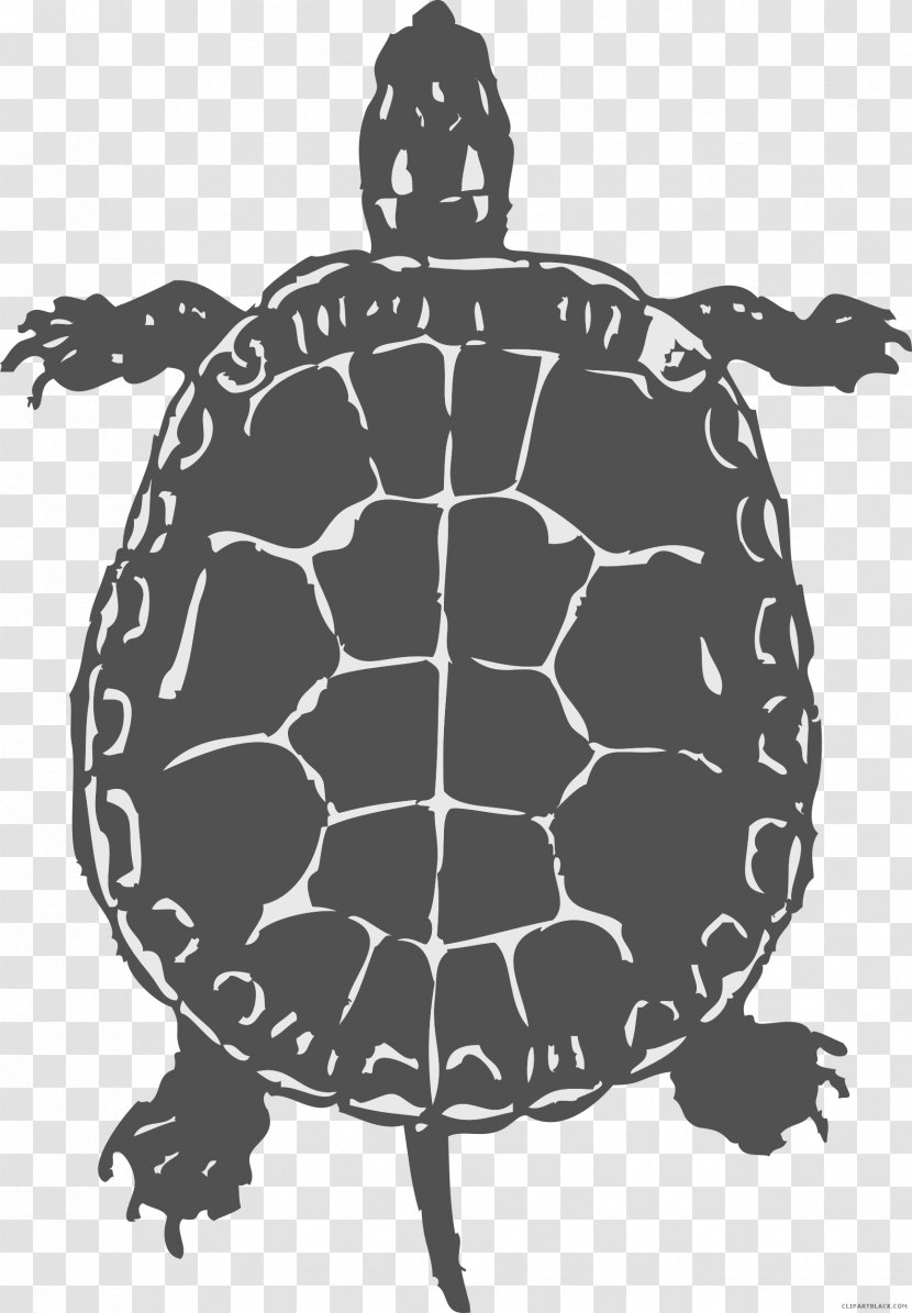 Common Snapping Turtle Reptile Sea Clip Art - Monochrome Transparent PNG