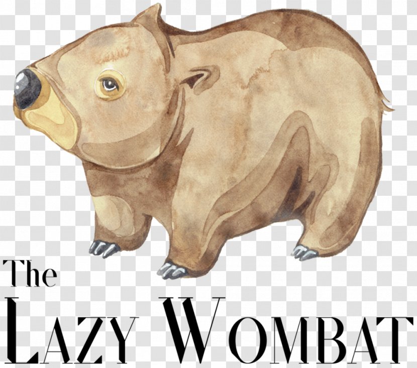 The Lazy Wombat Cafe Pig Restaurant Food - Ox Transparent PNG