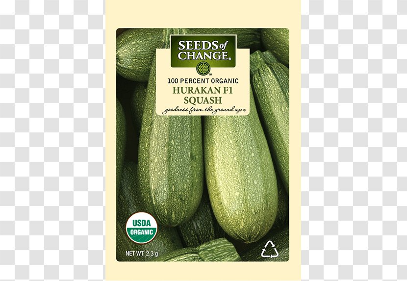 Cucumber Organic Food Summer Squash Zucchini Winter - Yellow Crook Neck Transparent PNG