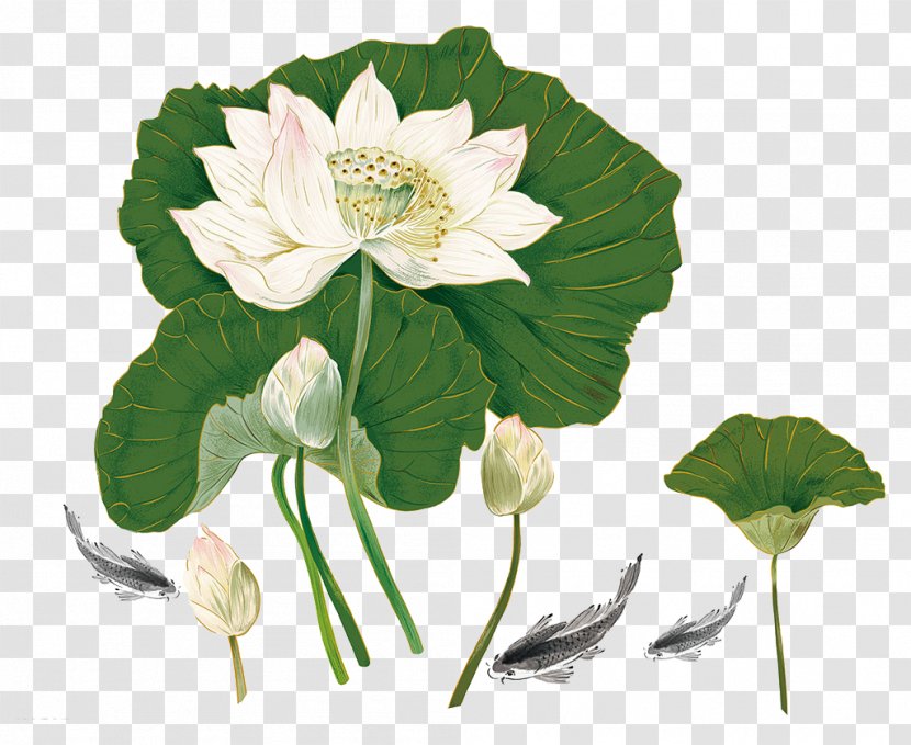 Nelumbo Nucifera Ink Wash Painting Chinese - Flowering Plant - Lotus Transparent PNG