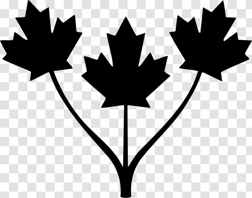 Flag Of Canada Illustration Stock Photography - Woody Plant Transparent PNG