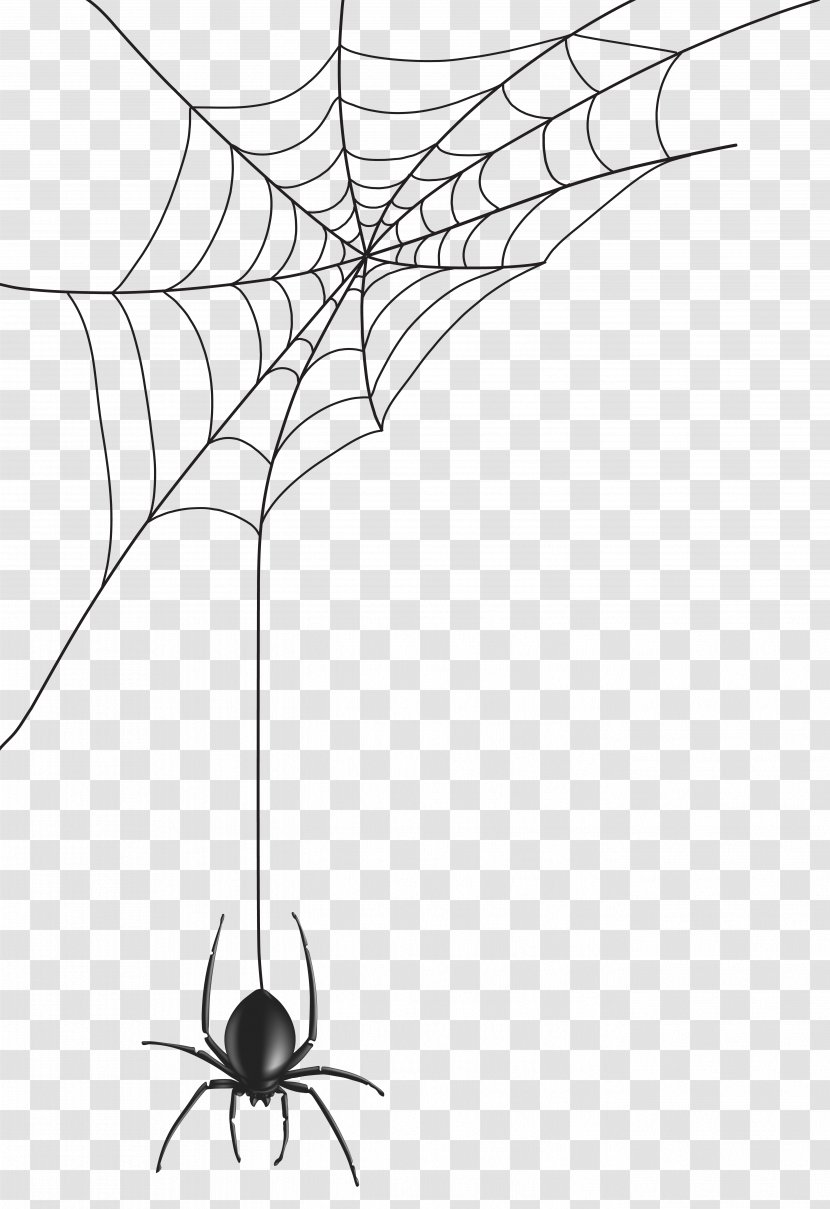 Spider Web Clip Art - Structure - Image Transparent PNG