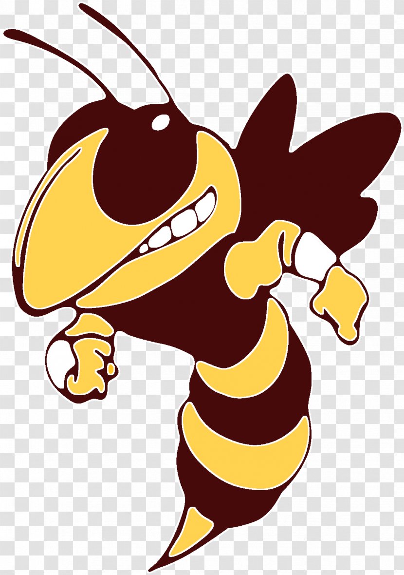 Yellowjacket Bee St. Augustine High School Perham Senior Transparent PNG