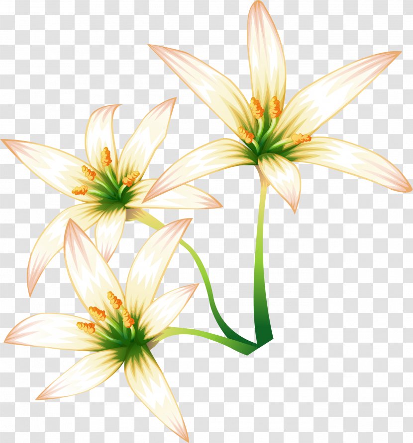 Lilium Flower Clip Art - Gratis - Hand-painted Lily Transparent PNG