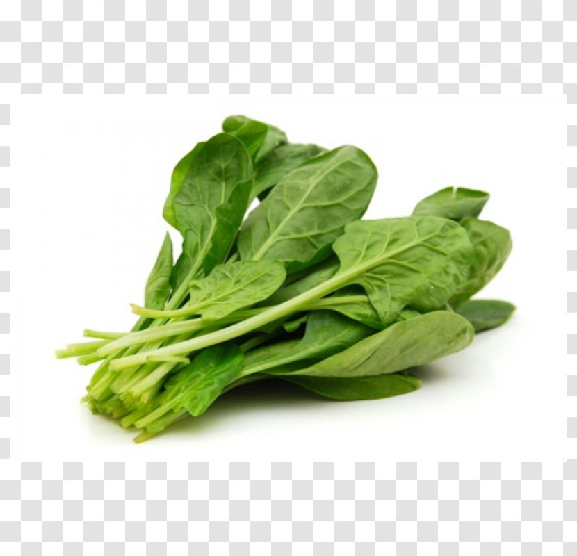 Spinach Leaf Vegetable Food - Romaine Lettuce - Hand-painted Fresh Spices Transparent PNG