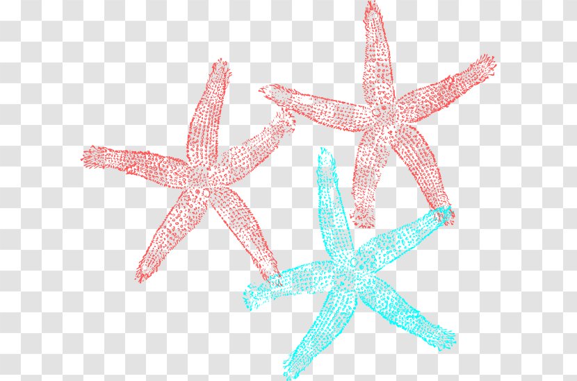 Coral Starfish Clip Art Transparent PNG