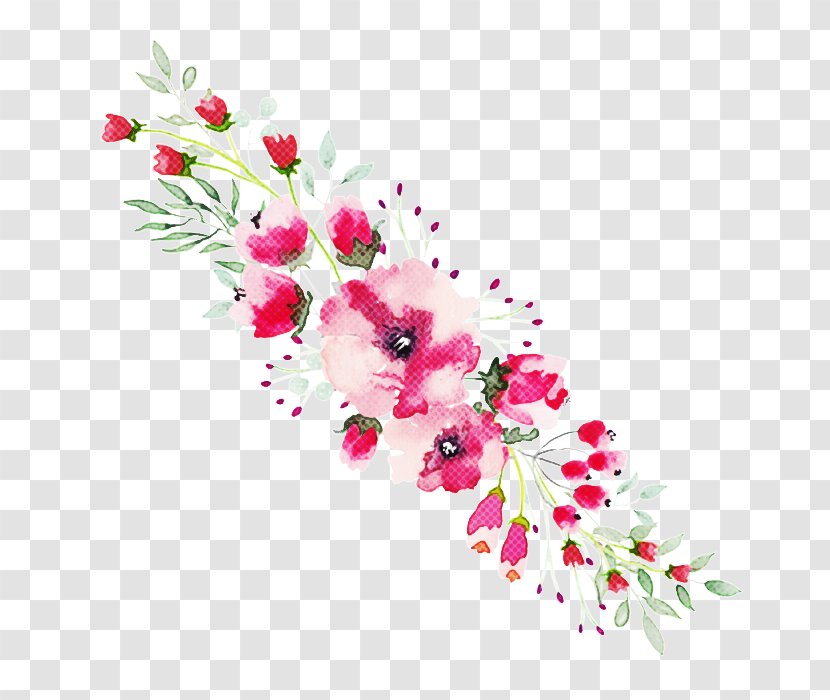 Floral Design - Flower - Petal Transparent PNG