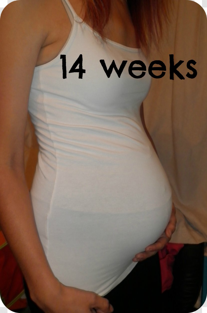 Abdomen Week 14 Of Pregnancy Fetus - Frame Transparent PNG