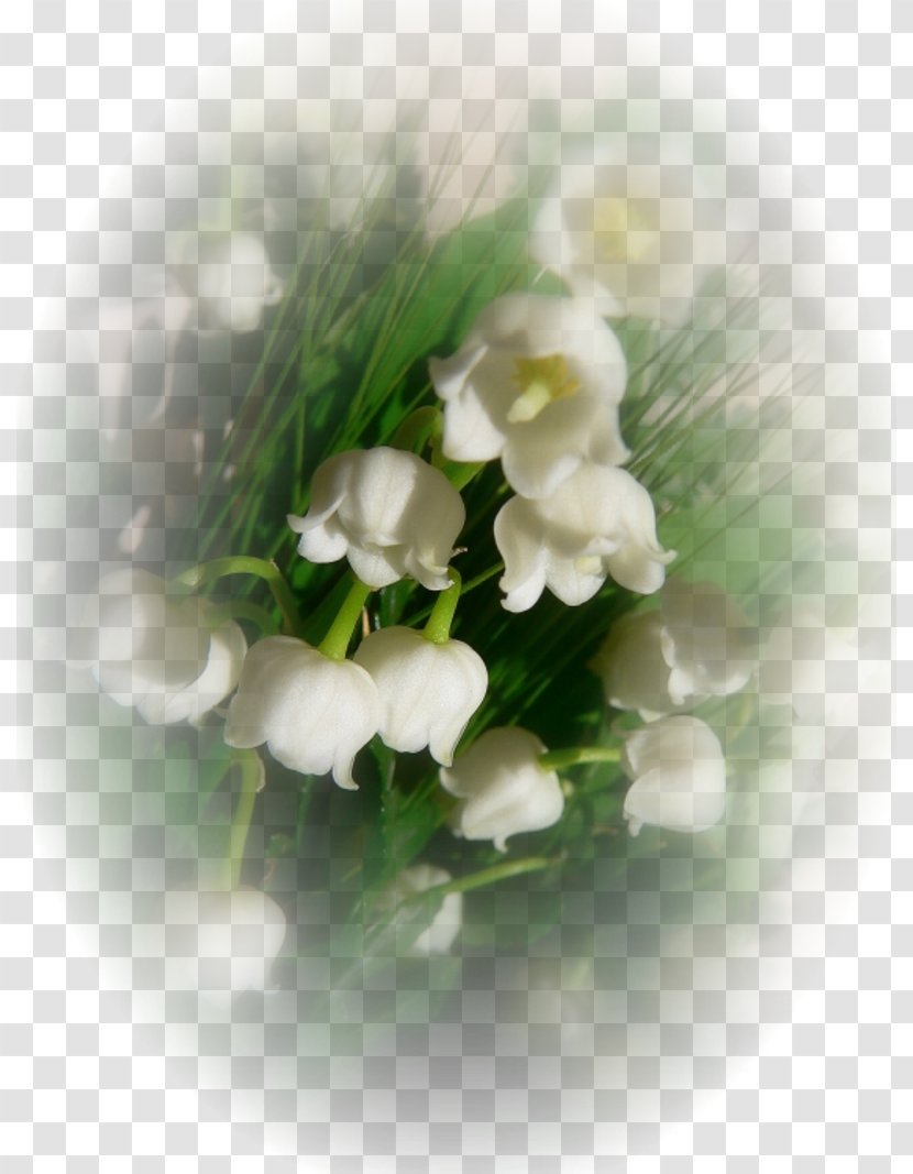 Floral Design .de Lily Of The Valley .es Afternoon - Heart - Plant Transparent PNG
