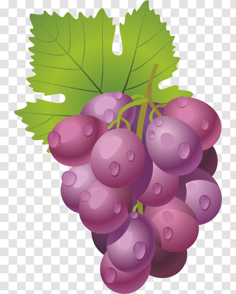 Grape Wine Fruit - Magenta - Grape,fruit Transparent PNG
