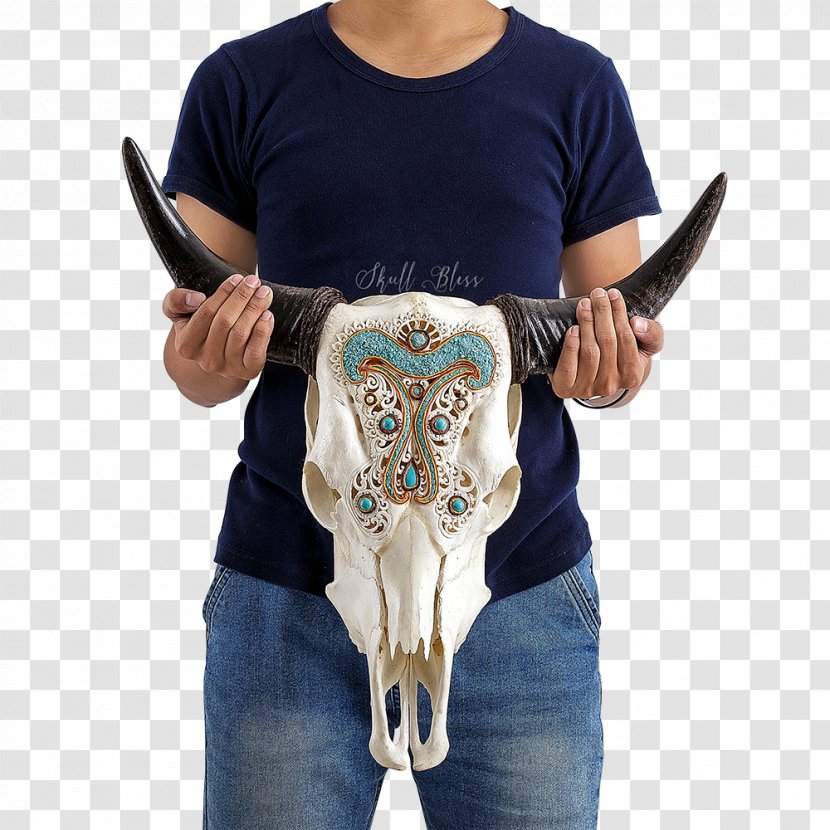 Cattle XL Horns Skull Neck - Wall Transparent PNG