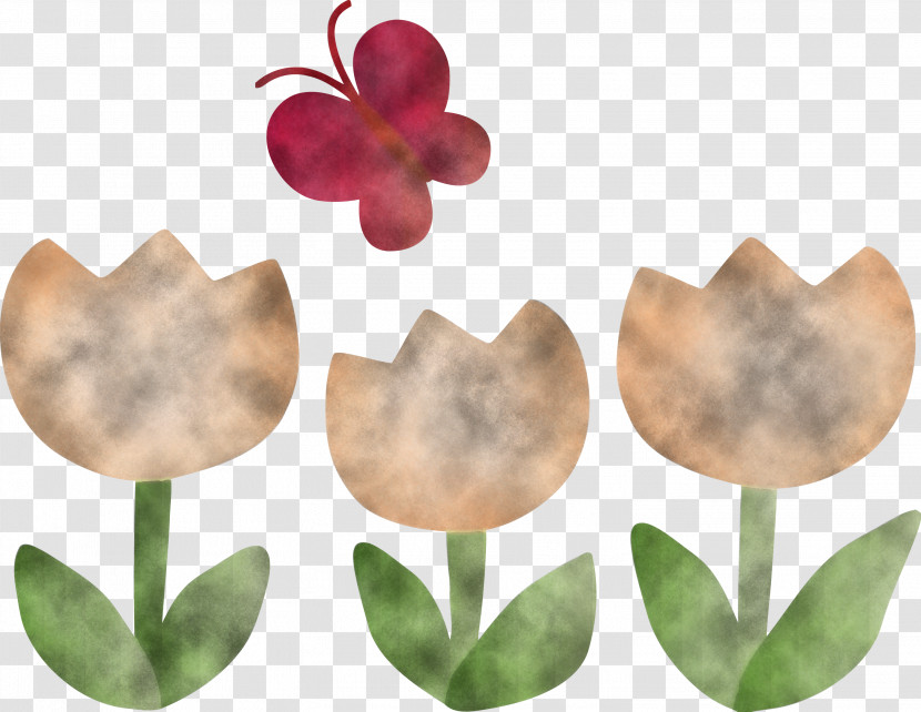 Tulip Butterfly Transparent PNG