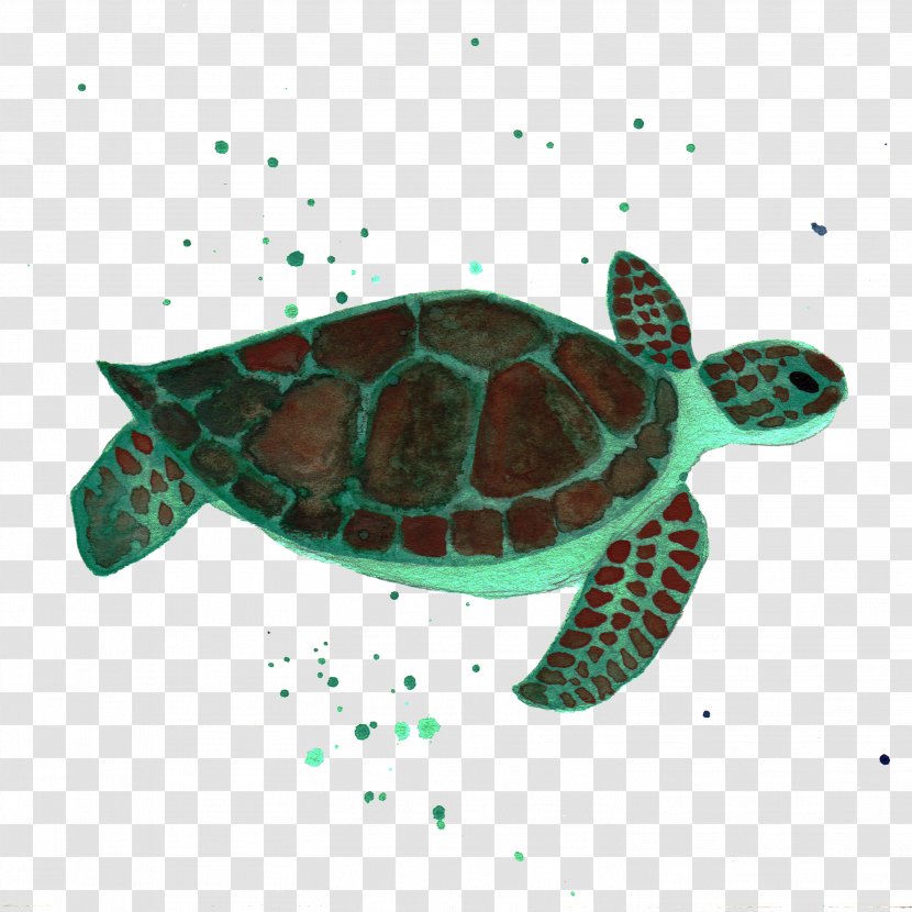 Sea Turtle Reptile Animal - Aquatic Transparent PNG