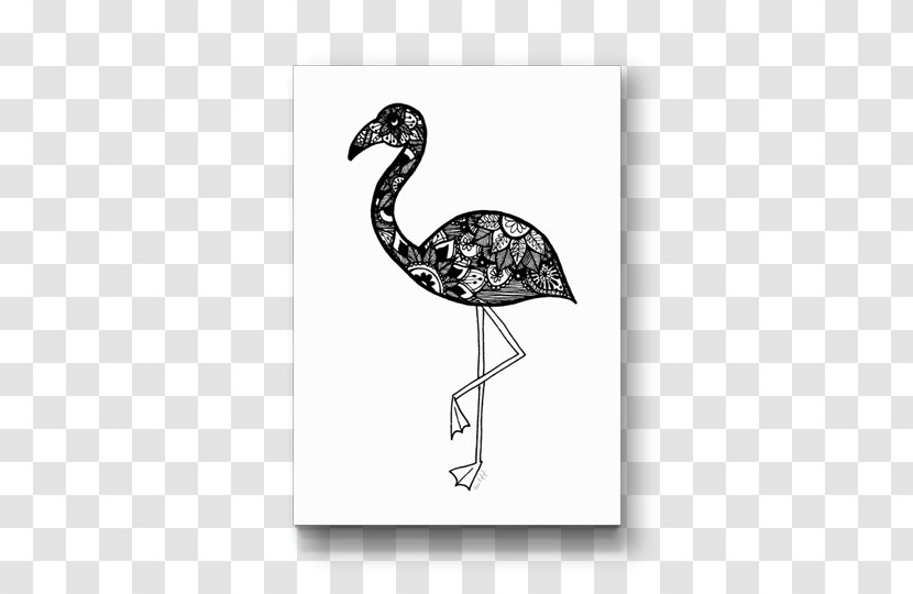 Bird Drawing Beak Fauna /m/02csf - Paper Poster Transparent PNG