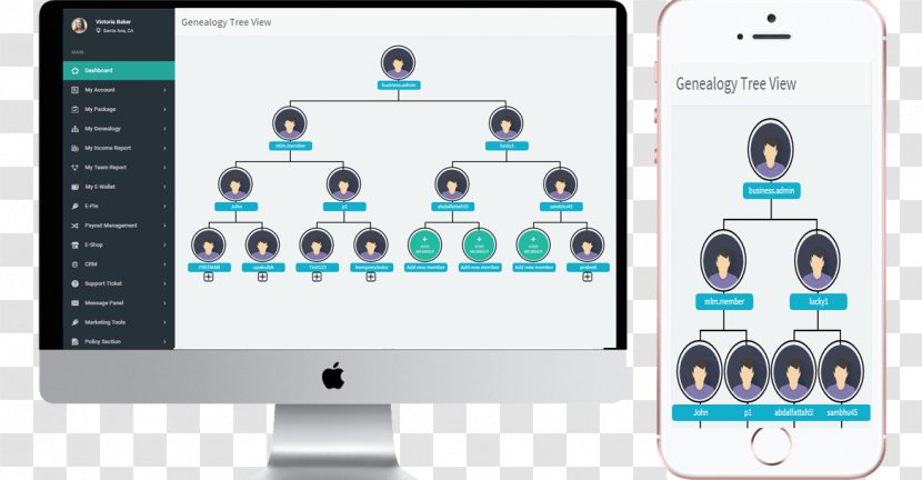 Genealogy Family Tree Structure Computer Software - Electronics - Mlm Transparent PNG