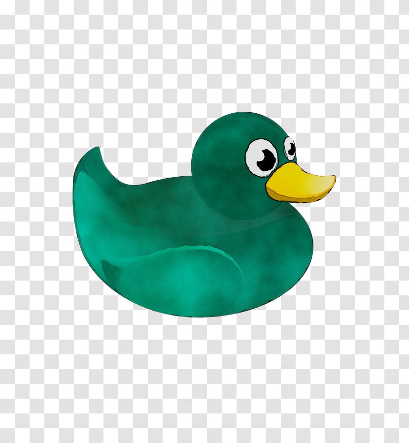 Duck Teal Beak - Bird - American Black Transparent PNG