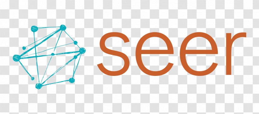 Seer Interactive Business Search Engine Optimization Digital Marketing - Online Advertising Transparent PNG