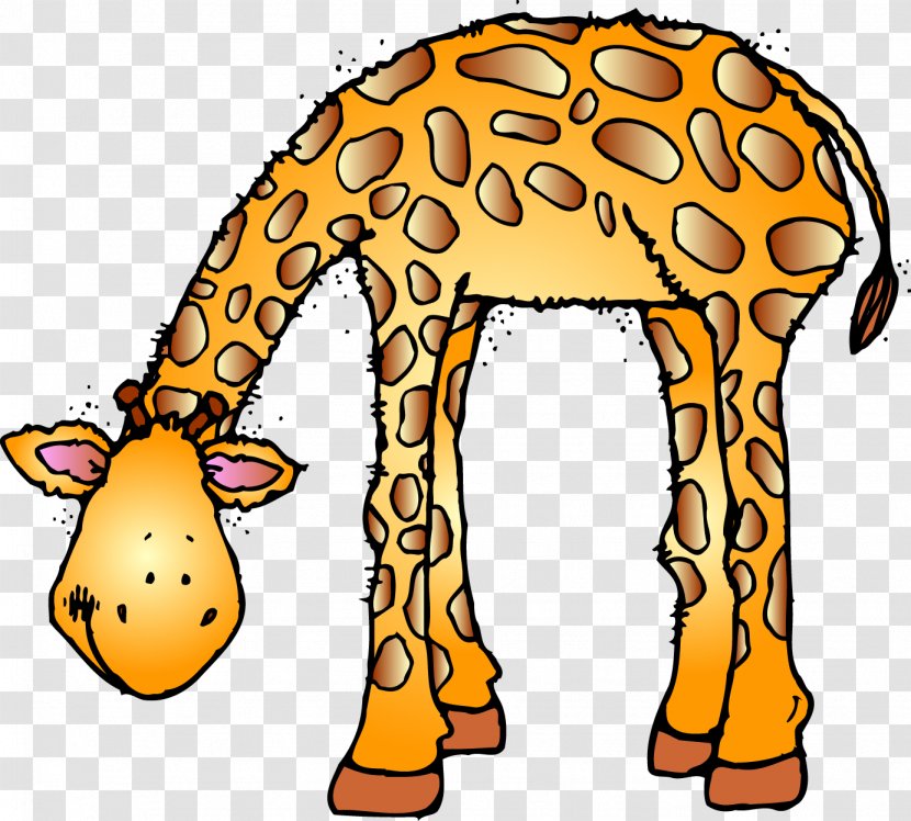 Marwell Wildlife Baby Jungle Animals Giraffe Zoo Clip Art - Terrestrial Animal - Clipart Transparent PNG