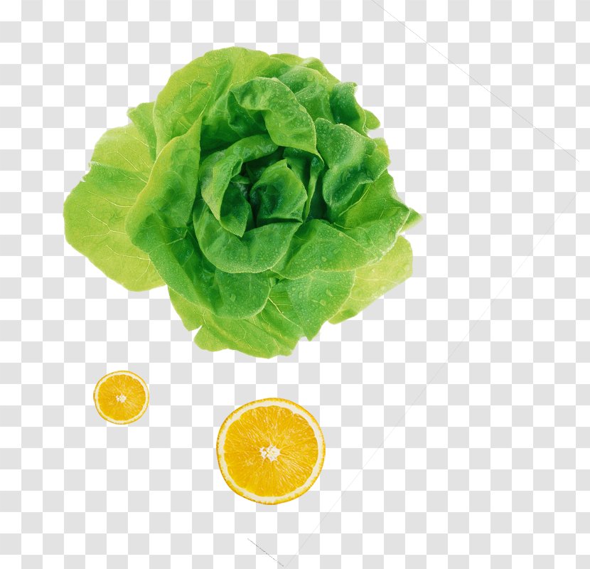 Leaf Vegetable Fruit Salad Ingredient - Juice - Fruits And Vegetables Pattern Transparent PNG