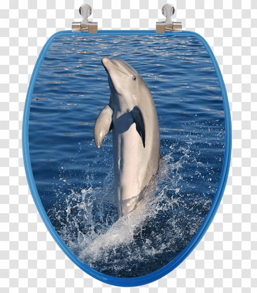 Toilet & Bidet Seats Seat Cover Toto Ltd. - Wood - Jumping Dolphins Transparent PNG