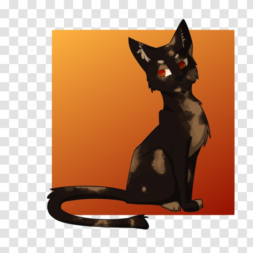 Black Cat Kitten Whiskers Paw - Tail - Panda Transparent PNG