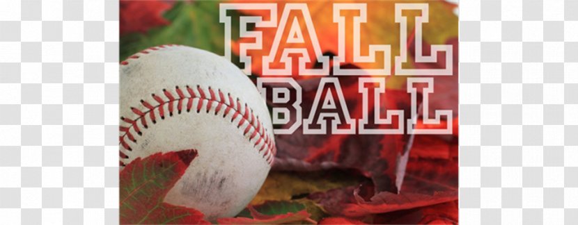 Little League Baseball Sports Softball - Out - Tournament Flyer Transparent PNG