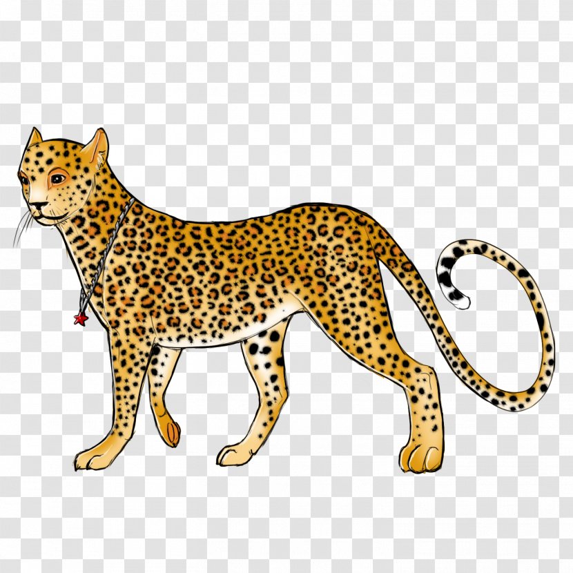 Whiskers Leopard Cheetah Jaguar Cat Transparent PNG