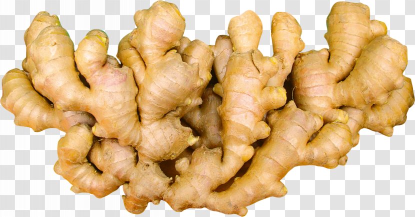 Root Vegetables Ginger - Health Transparent PNG