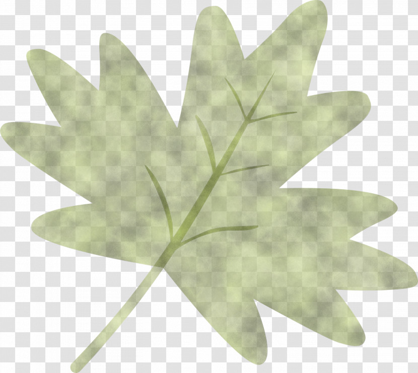 Maple Leaf Transparent PNG