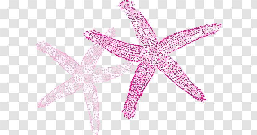 Starfish Color Clip Art - Green Transparent PNG