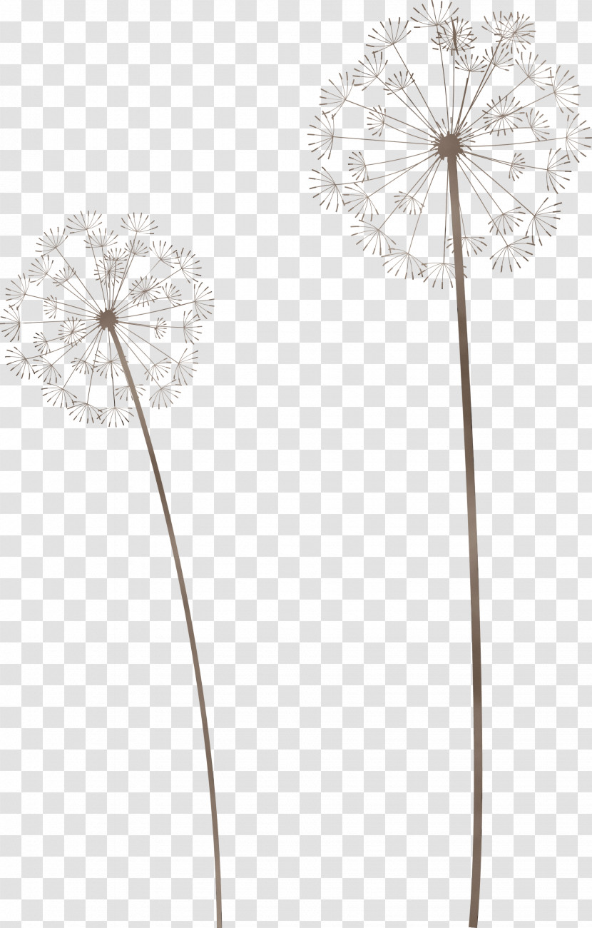 Cut Flowers Flower Petal Flora Line Transparent PNG