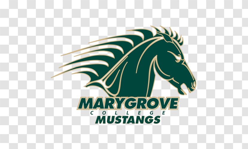 Marygrove College Madonna University Mustangs Women's Basketball Of St. Thomas Davenport - Brand - Student Transparent PNG