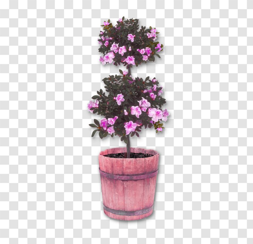 Azalea Bonsai Icon - Violet - Peach Pull Free Image Transparent PNG