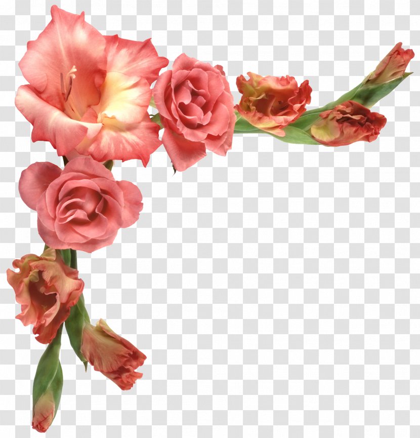 Flower - Floral Design - Border Transparent PNG