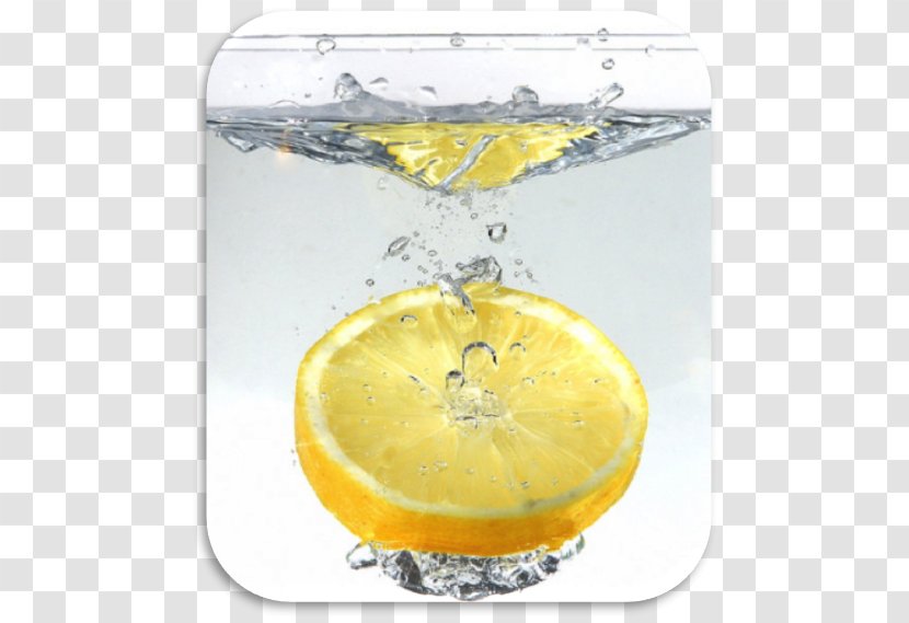 Coconut Water Juice Ionizer Lemon - Liquid - Drink Transparent PNG