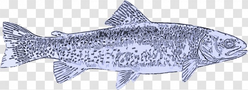 Fish Trout Salmon-like Salmon - Bonyfish - Rayfinned Products Transparent PNG