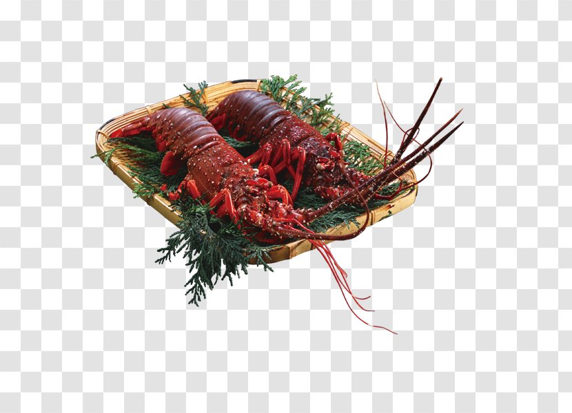 Xuyi County Corn Soup Palinurus Barbecue European Cuisine - Shrimp - Two Large Lobster On A Plate Transparent PNG