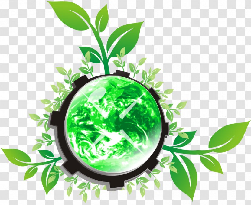 Clip Art - Leaf - Herbalism Transparent PNG