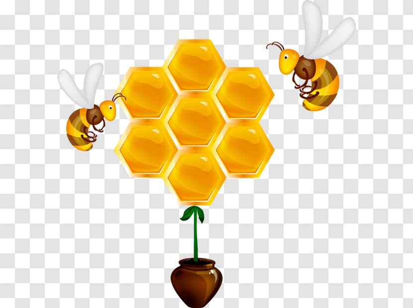 Western Honey Bee Beehive Honeycomb - Yellow Transparent PNG