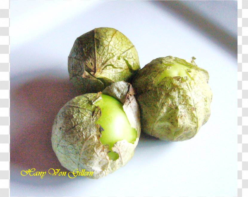 Brussels Sprout Natural Foods Cruciferous Vegetables Tomatillo - Ingredient Transparent PNG