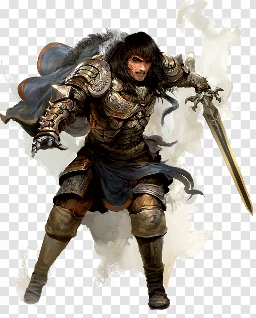 Dungeons & Dragons Pathfinder Roleplaying Game D20 System Warrior Human - Player Character Transparent PNG