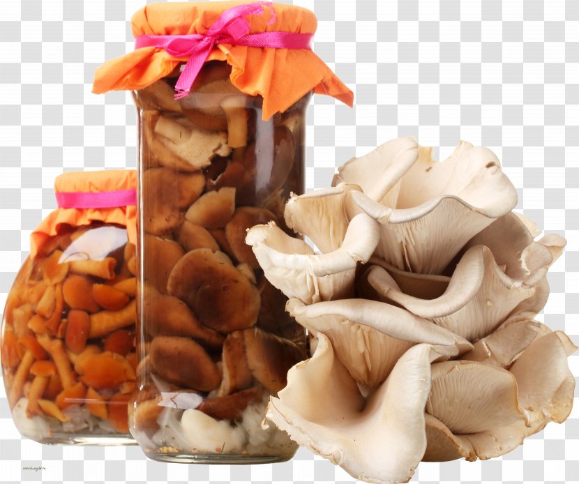 Edible Mushroom Snow Fungus Food - Chanterelle Transparent PNG