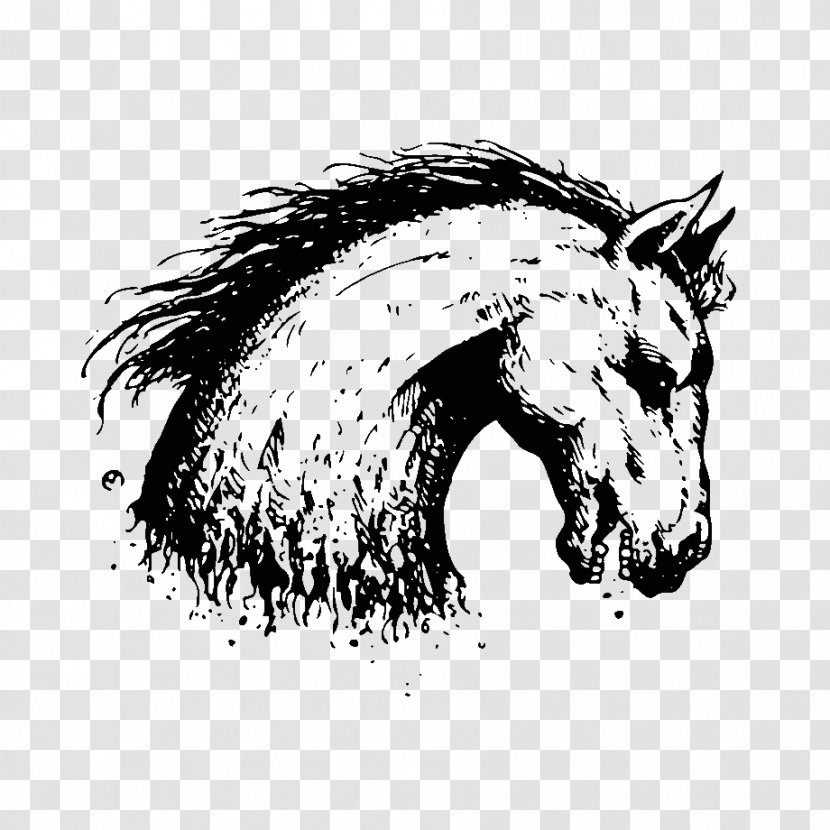Mane Mustang Pony Pack Animal Snout - Horse Supplies Transparent PNG