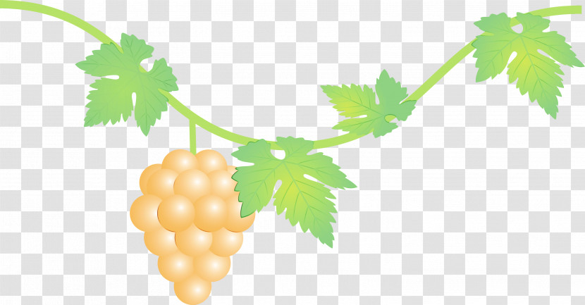 Grape Leaf Plant Grapevine Family Vitis Transparent PNG