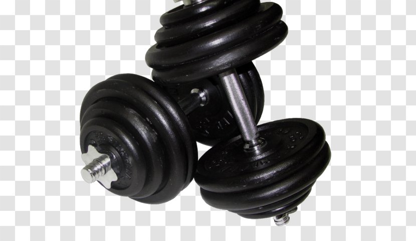 Dumbbell Weight Training Exercise Equipment Physical Fitness Barbell - Suspension Part Sports Transparent PNG
