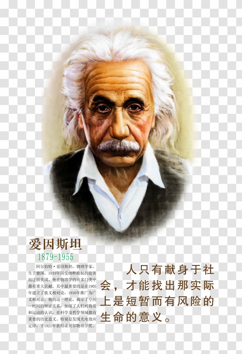 Albert Einstein The Theory Of Relativity Scientist - Panels Transparent PNG
