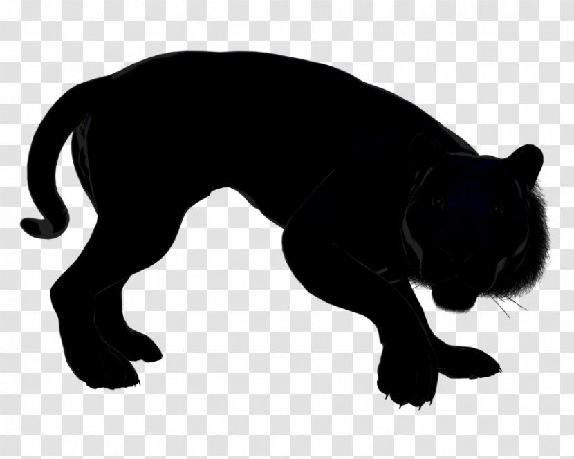 Whiskers Cat Dog Breed Snout - Black M - Obe Icon Transparent PNG