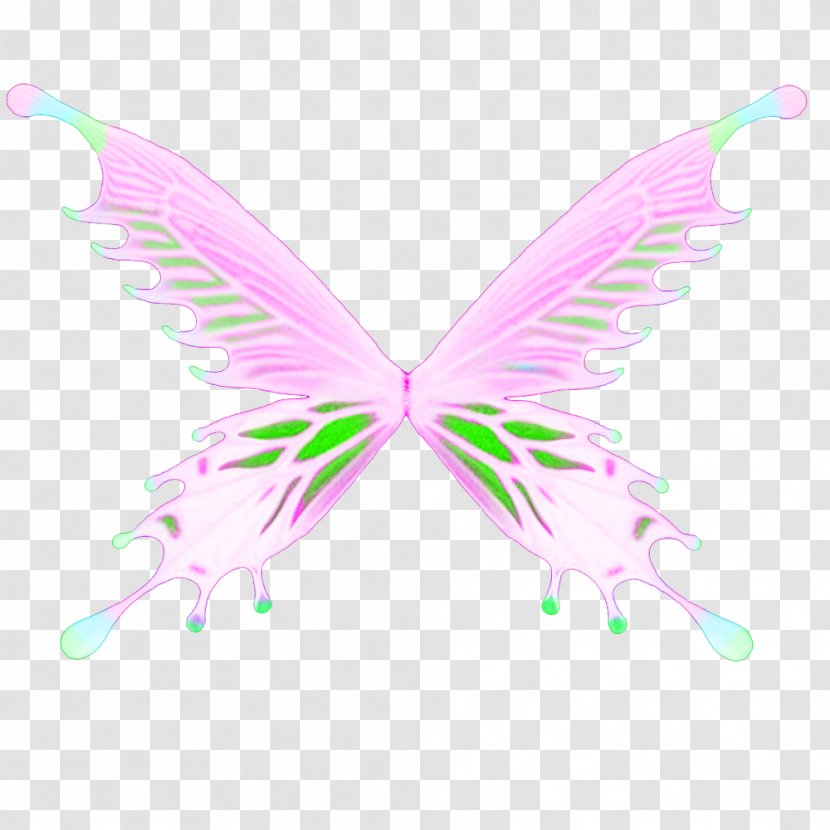 Fairy Pink M RTV - Organism Transparent PNG
