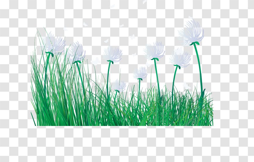 Primavera Cartoon Clip Art - Collage - Spring Flowers Fresh Grass Transparent PNG